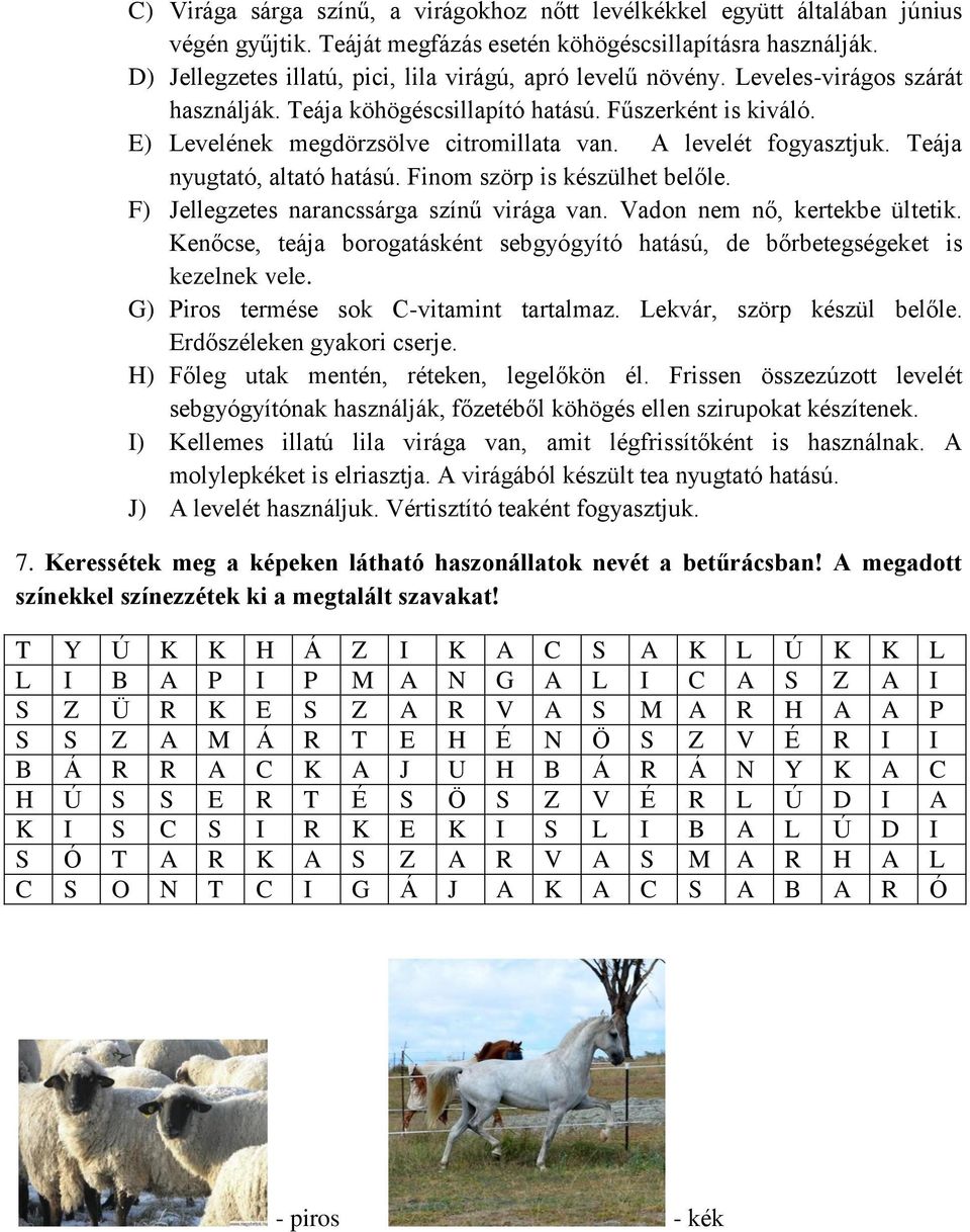 A levelét fogyasztjuk. Teája nyugtató, altató hatású. Finom szörp is készülhet belőle. F) Jellegzetes narancssárga színű virága van. Vadon nem nő, kertekbe ültetik.