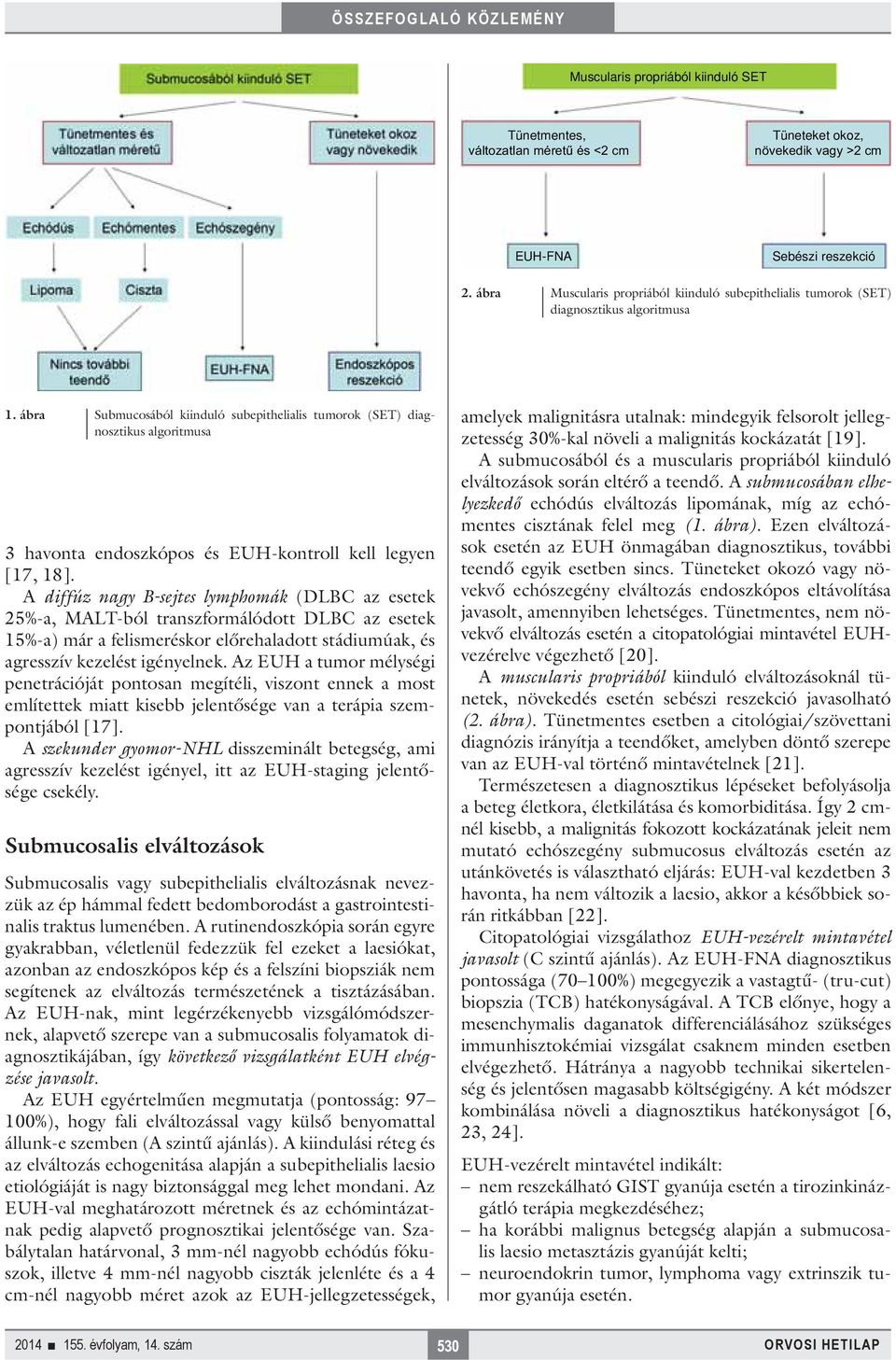 A diffúz nagy B-sejtes lymphomák (DLBC az esetek 25%-a, MALT-ból transzformálódott DLBC az esetek 15%-a) már a felismeréskor előrehaladott stádiumúak, és agresszív kezelést igényelnek.