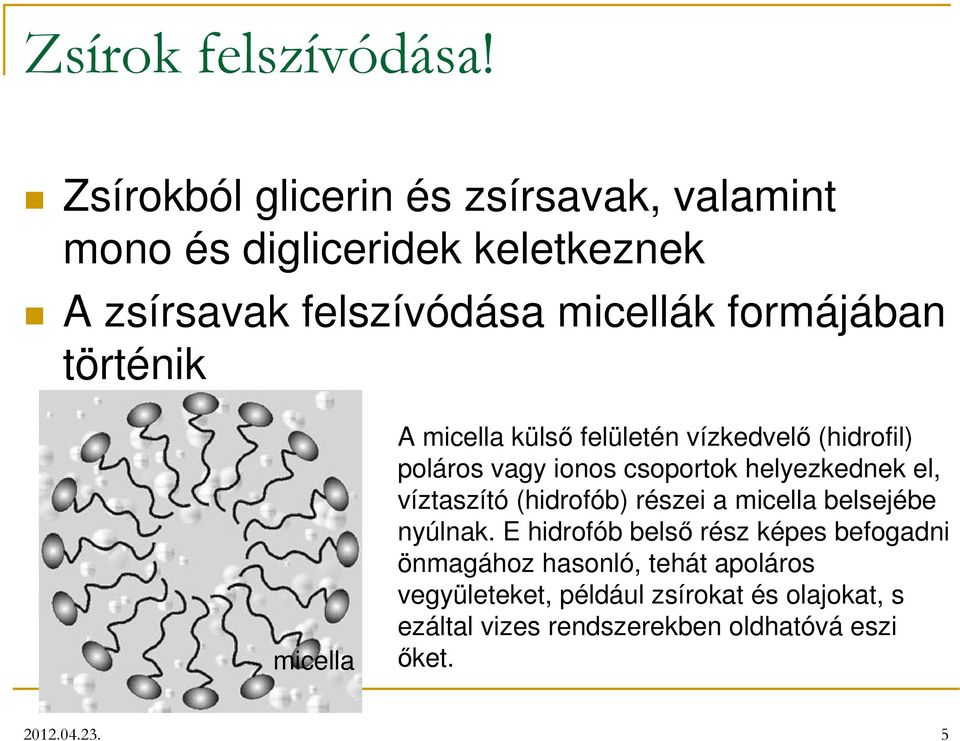 történik micella A micella külső felületén vízkedvelő (hidrofil) poláros vagy ionos csoportok helyezkednek el, víztaszító