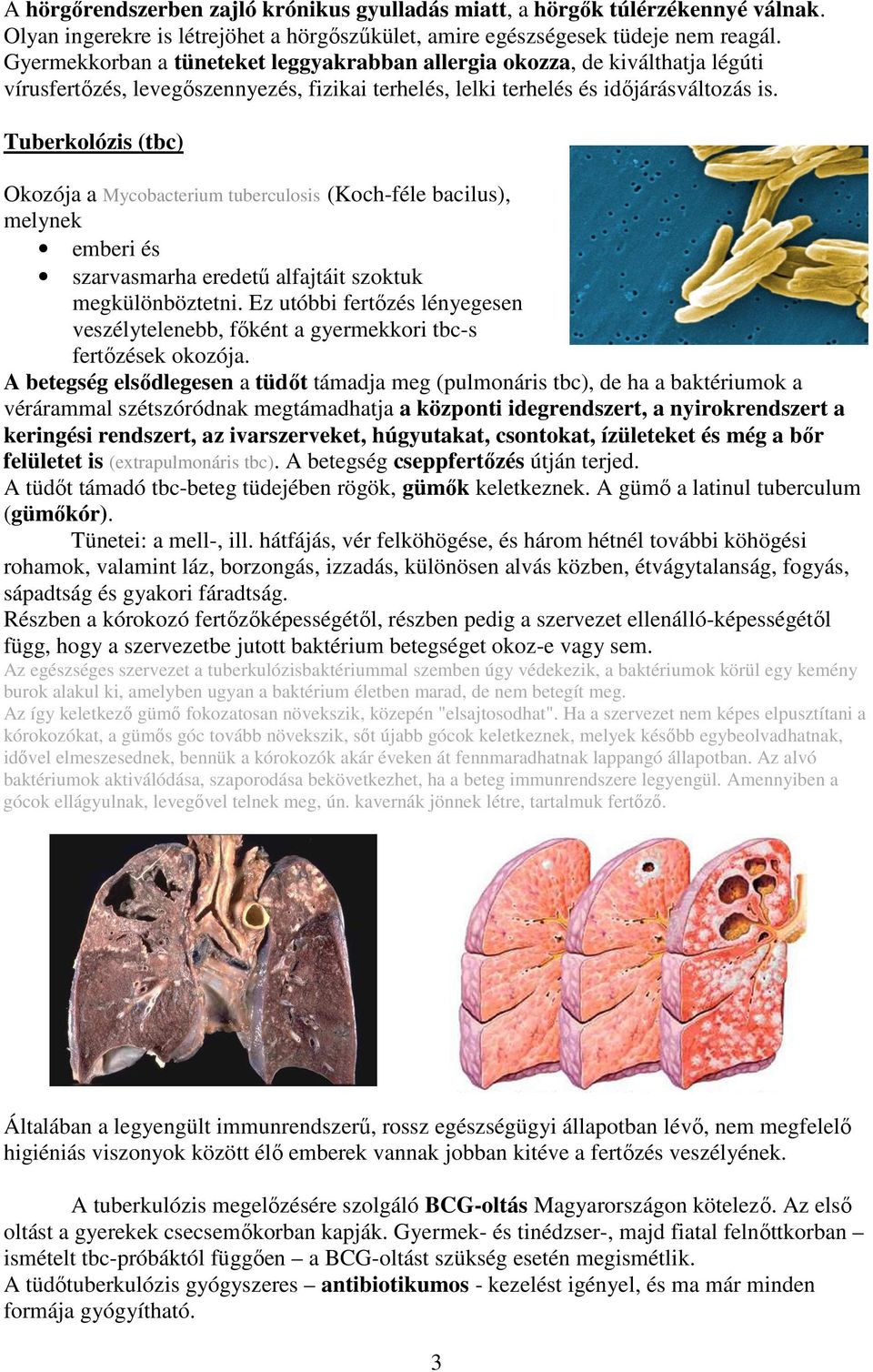 Tuberkolózis (tbc) Okozója a Mycobacterium tuberculosis (Koch-féle bacilus), melynek emberi és szarvasmarha eredetű alfajtáit szoktuk megkülönböztetni.