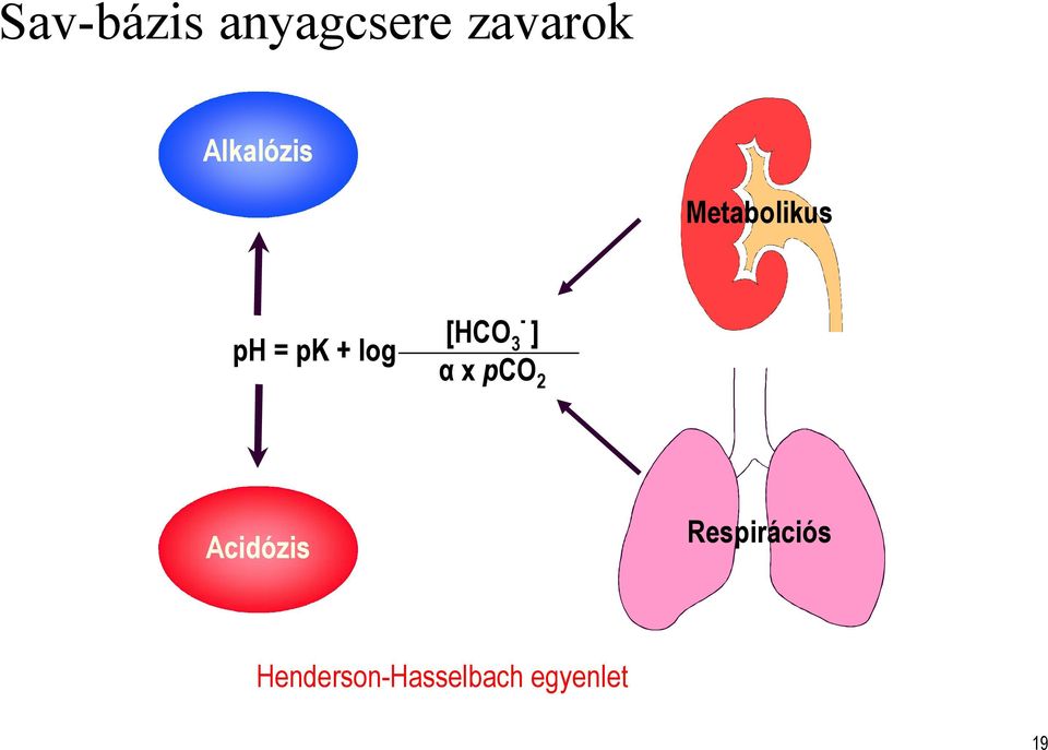 [HCO 3 - ] α x pco 2 Acidózis