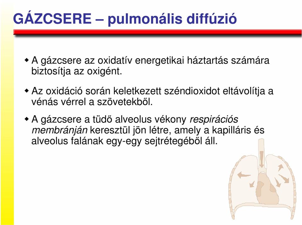 Az oxidáció során keletkezett széndioxidot eltávolítja a vénás vérrel a szövetekbıl.