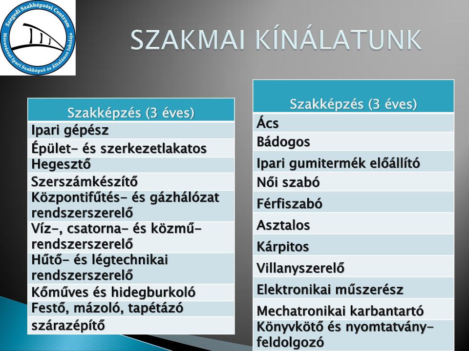 hidegburkoló Festő, mázoló, tapétázó szárazépítő Ács Bádogos Szakképzés (3 éves) Ipari gumitermék előállító Női