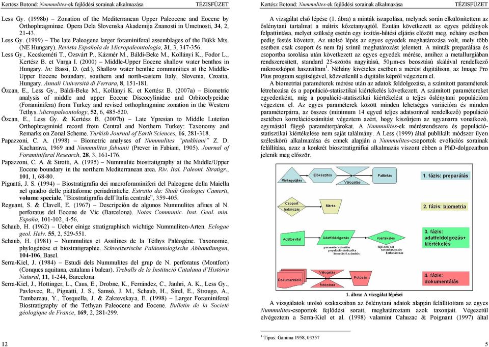 , Báldi-Beke M., Kollányi K., Fodor L., Kertész B. et Varga I. (2000) Middle-Upper Eocene shallow water benthos in Hungary. In: Bassi, D. (ed.