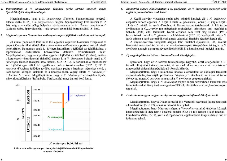 biedai complanatus (Colonia Jorba, Spanyolország) nak nevezett taxon késő-bartoni (SBZ 18) korú. 5.