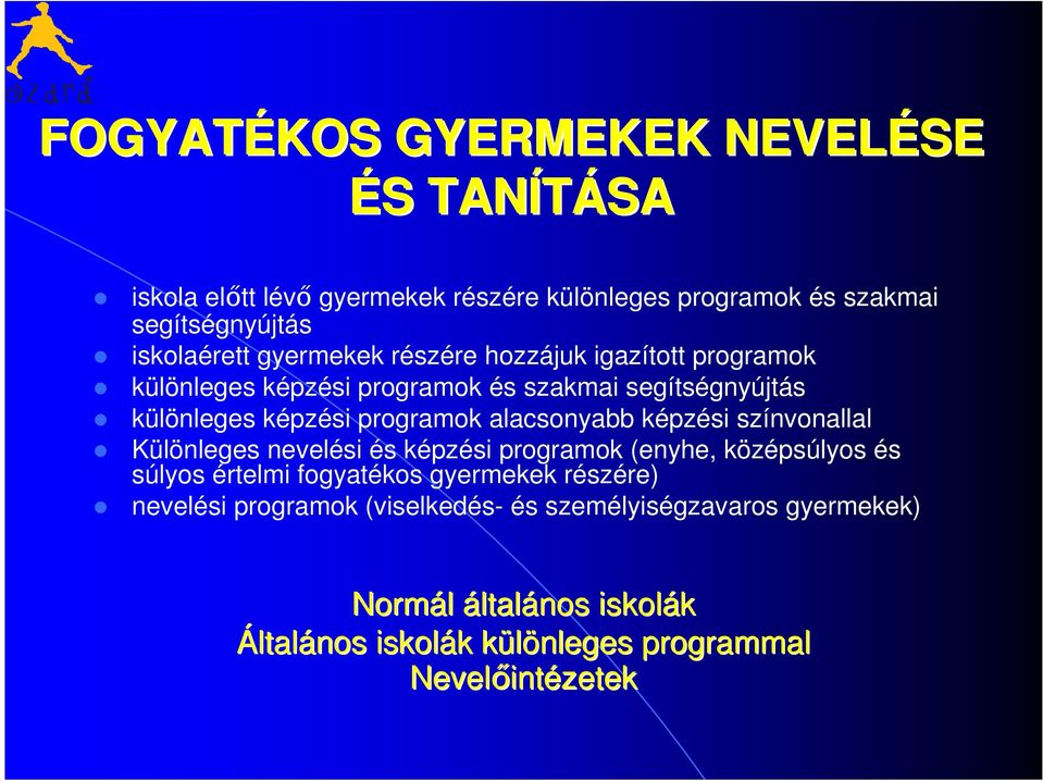 alacsonyabb képzési színvonallal Különleges nevelési és képzési programok (enyhe, középsúlyos és súlyos értelmi fogyatékos gyermekek részére)
