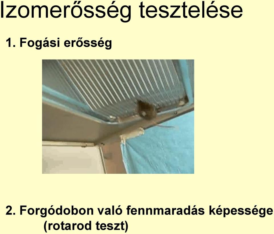 Forgódobon való