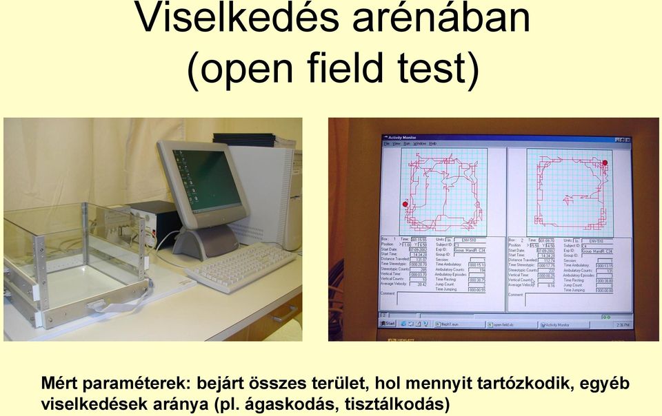 terület, hol mennyit tartózkodik, egyéb
