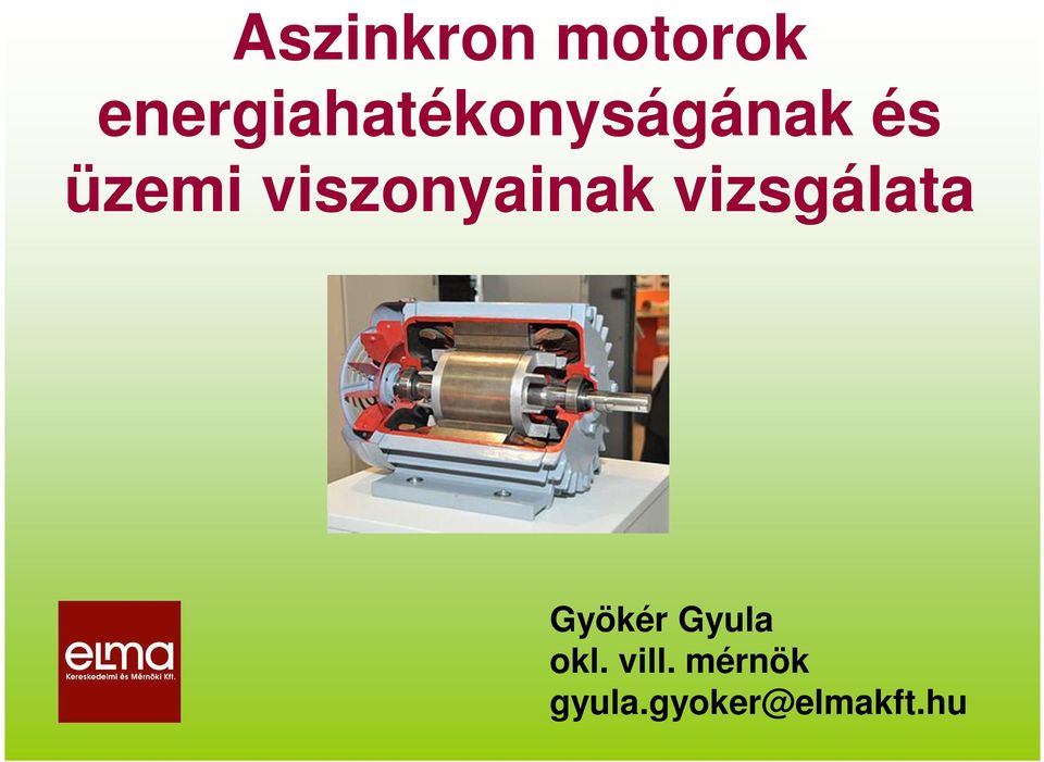 viszonyainak vizsgálata Gyökér