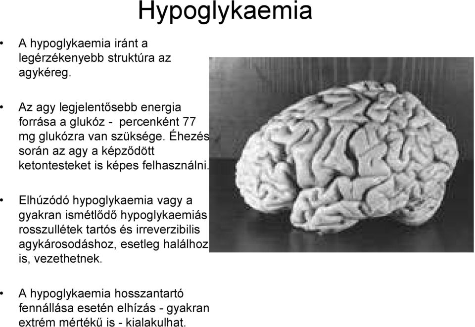 Éhezés során az agy a képződött ketontesteket is képes felhasználni.