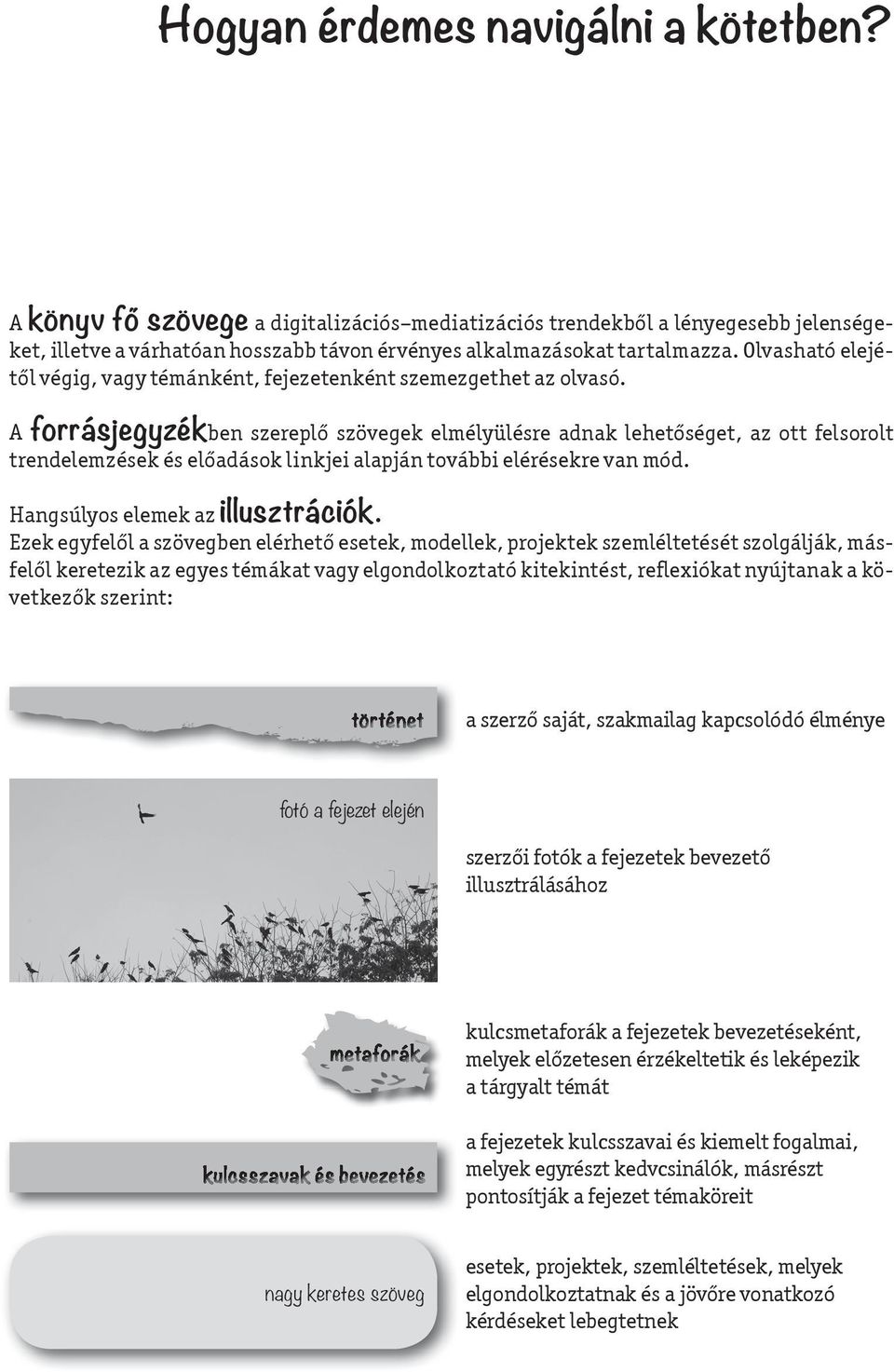 A forrásjegyzékben szereplő szövegek elmélyülésre adnak lehetőséget, az ott felsorolt trendelemzések és előadások linkjei alapján további elérésekre van mód. Hangsúlyos elemek az illusztrációk.