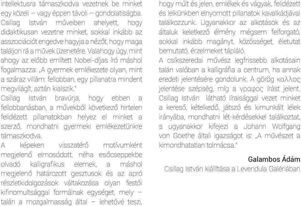 Valahogy úgy, mint ahogy az előbb említett Nobel-díjas író máshol fogalmazza: A gyermek emlékezete olyan, mint a száraz villám: fellobban, egy pillanatra mindent megvilágít, aztán kialszik.