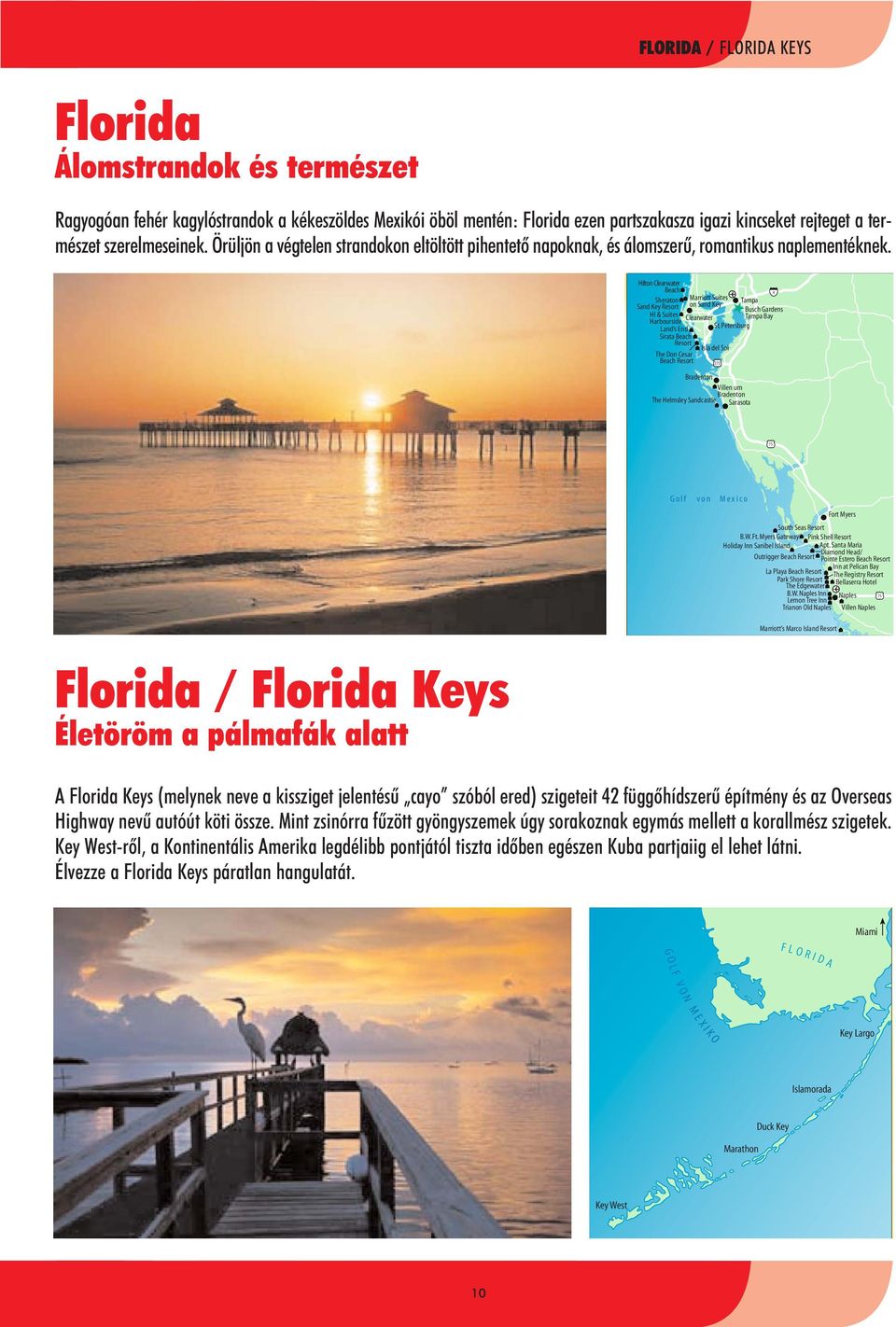 Hilton Clearwater Beach 4 Sheraton Marriott Suites Tampa Sand Key Resort on Sand Key Busch Gardens HI & Suites Clearwater Tampa Bay Harbourside Land s End St.