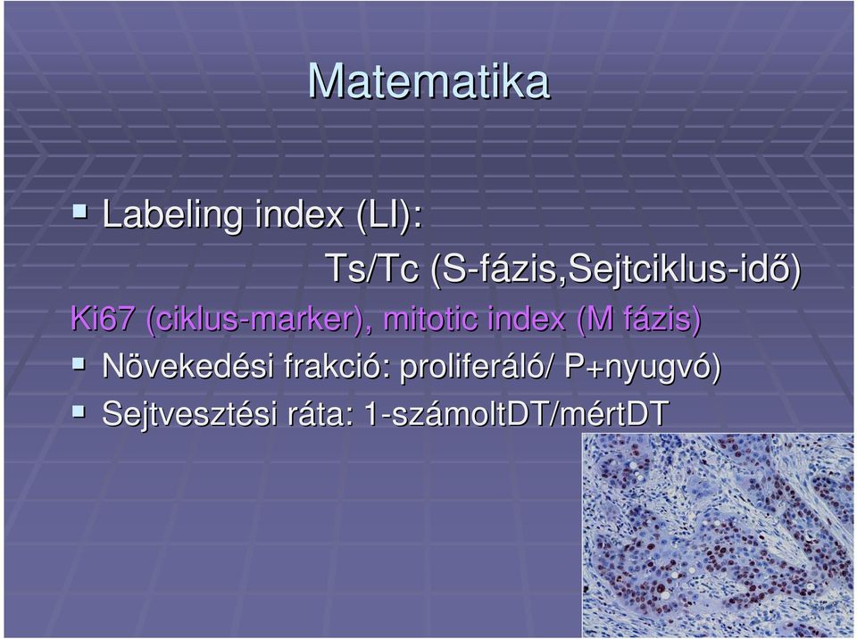 (ciklus-marker), mitotic index (M fázis) f Növekedési