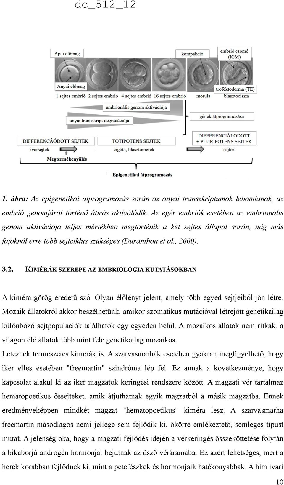 00). 3.2. KIMÉRÁK SZEREPE AZ EMBRIOLÓGIA KUTATÁSOKBAN A kiméra görög eredetű szó. Olyan élőlényt jelent, amely több egyed sejtjeiből jön létre.