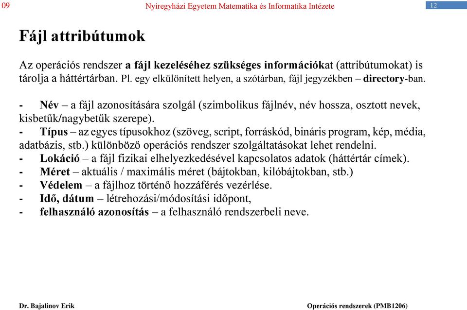 - Típus az egyes típusokhoz (szöveg, script, forráskód, bináris program, kép, média, adatbázis, stb.) különböző operációs rendszer szolgáltatásokat lehet rendelni.