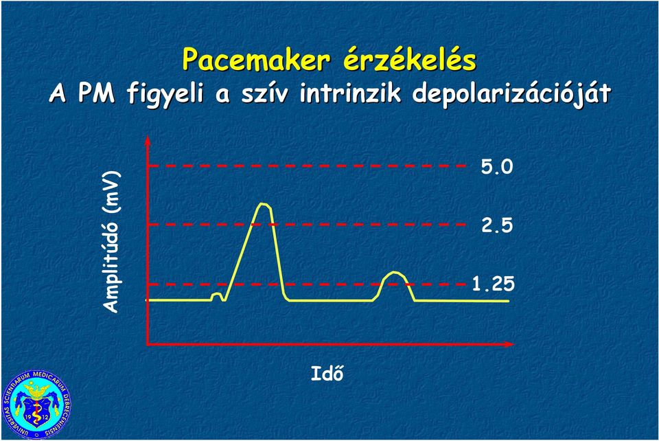 intrinzik depolarizáci