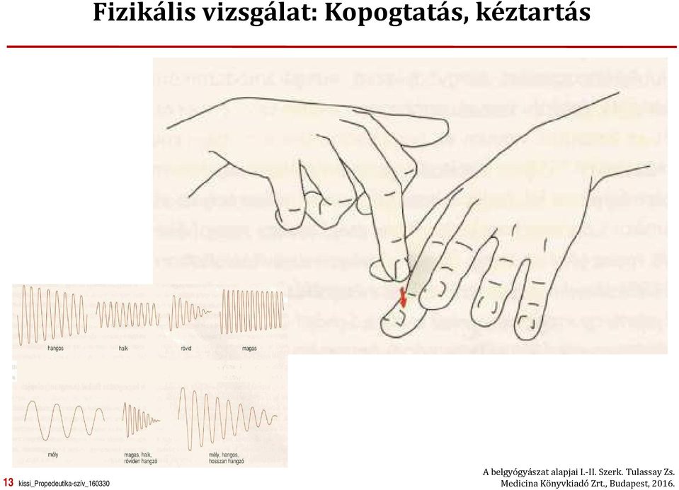 belgyógyászat alapjai I.-II. Szerk.