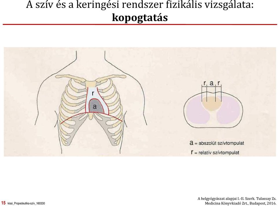 kissi_propedeutika-szív_160330 A belgyógyászat