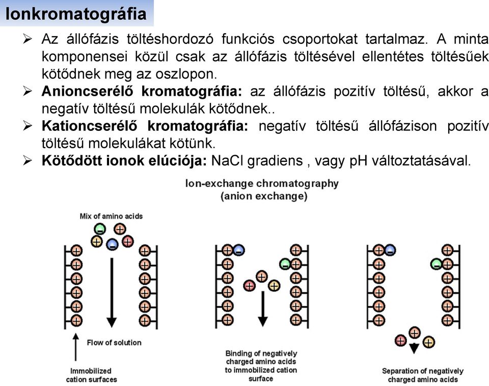 Anioncserélő kromatográfia: az állófázis pozitív töltésű, akkor a negatív töltésű molekulák kötődnek.