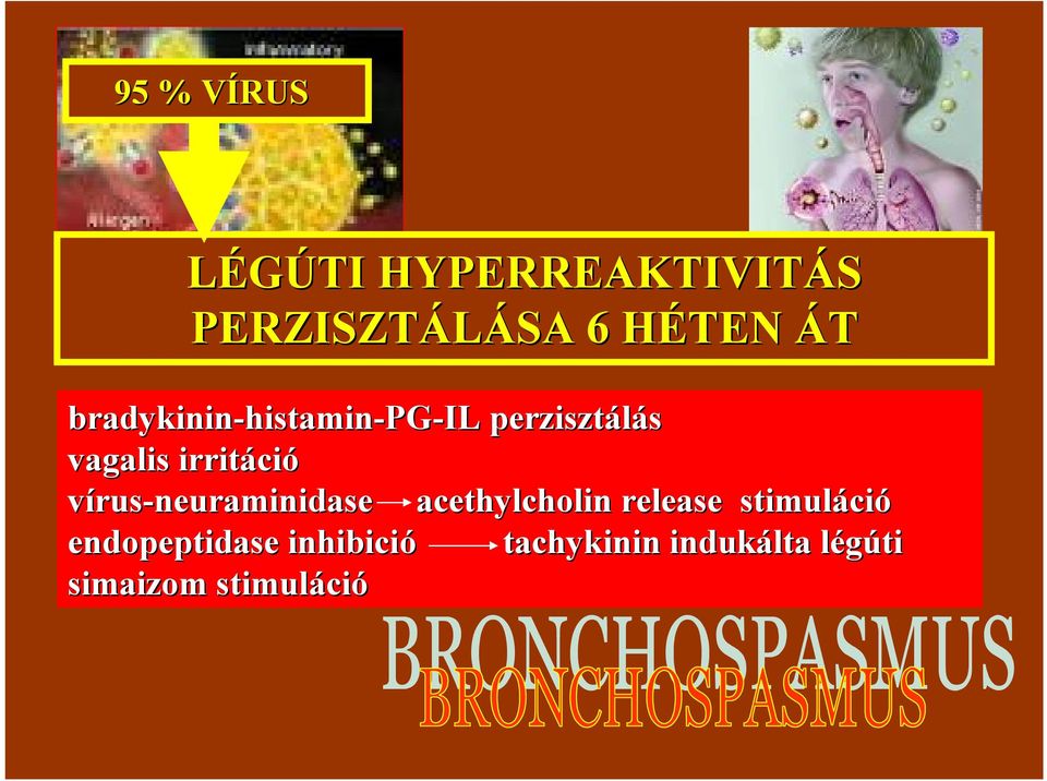 irritáci vírus-neuraminidase acethylcholin release stimuláci