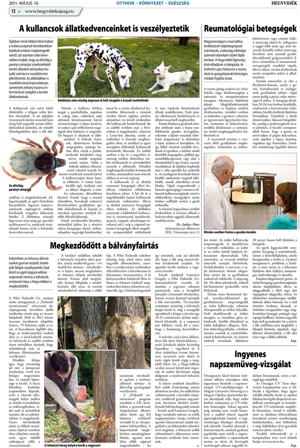 az élővilág e parányi vámpírjai a kedvtelésből tartott állataink (elsősorban kutyák) számára is veszélyforrást jelenthetnek.