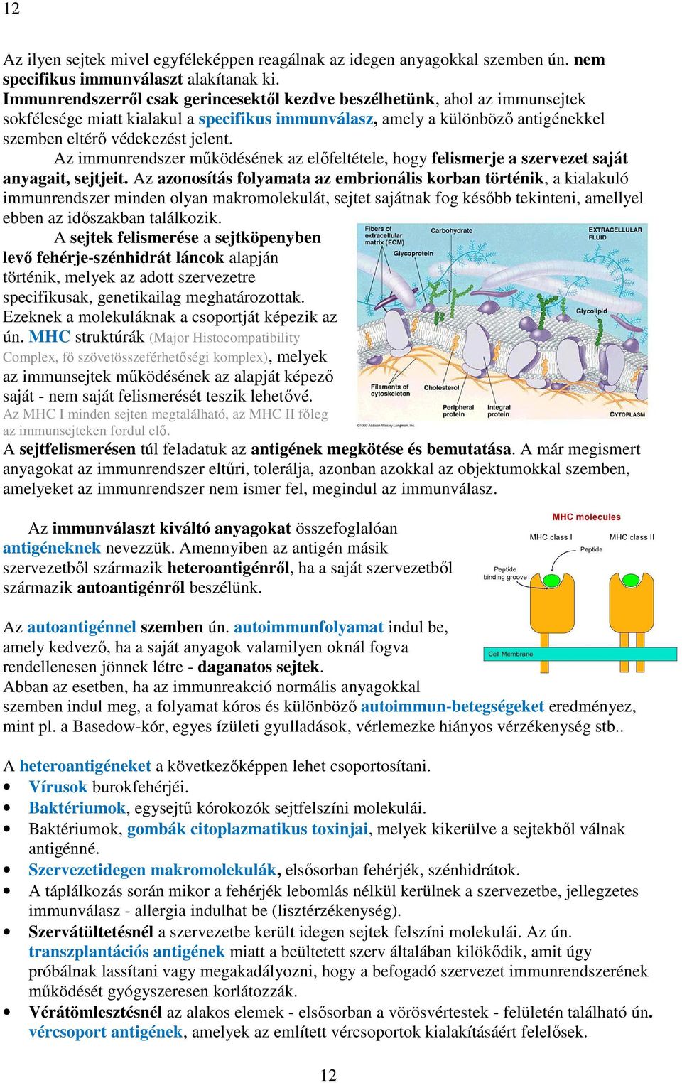 Az immunrendszer működésének az előfeltétele, hogy felismerje a szervezet saját anyagait, sejtjeit.