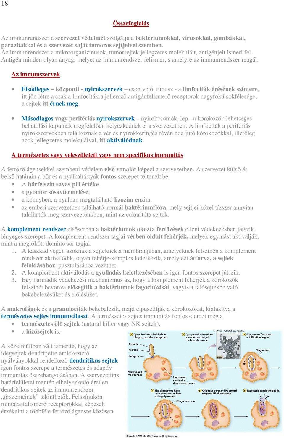 Az immunszervek Elsődleges központi - nyirokszervek csontvelő, tímusz - a limfociták érésének színtere, itt jön létre a csak a limfocitákra jellemző antigénfelismerő receptorok nagyfokú sokfélesége,