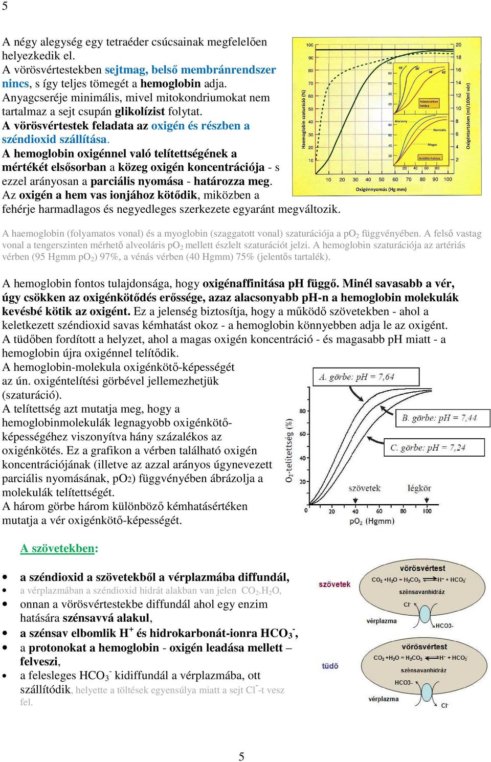 A hemoglobin oxigénnel való telítettségének a mértékét elsősorban a közeg oxigén koncentrációja - s ezzel arányosan a parciális nyomása - határozza meg.