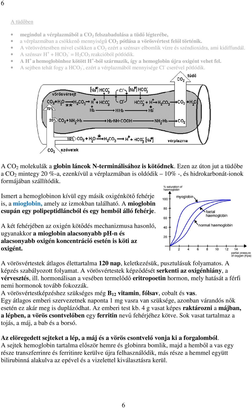 A H + a hemoglobinhoz kötött H + -ból származik, így a hemoglobin újra oxigént vehet fel. A sejtben tehát fogy a HCO 3 -, ezért a vérplazmából mennyisége Cl - cserével pótlódik.