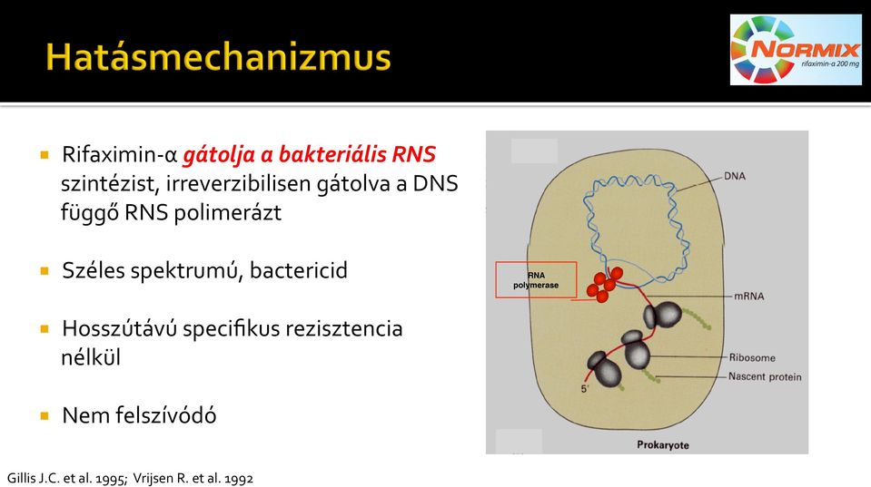 spektrumú, bactericid RNA polymerase Hosszútávú specifikus
