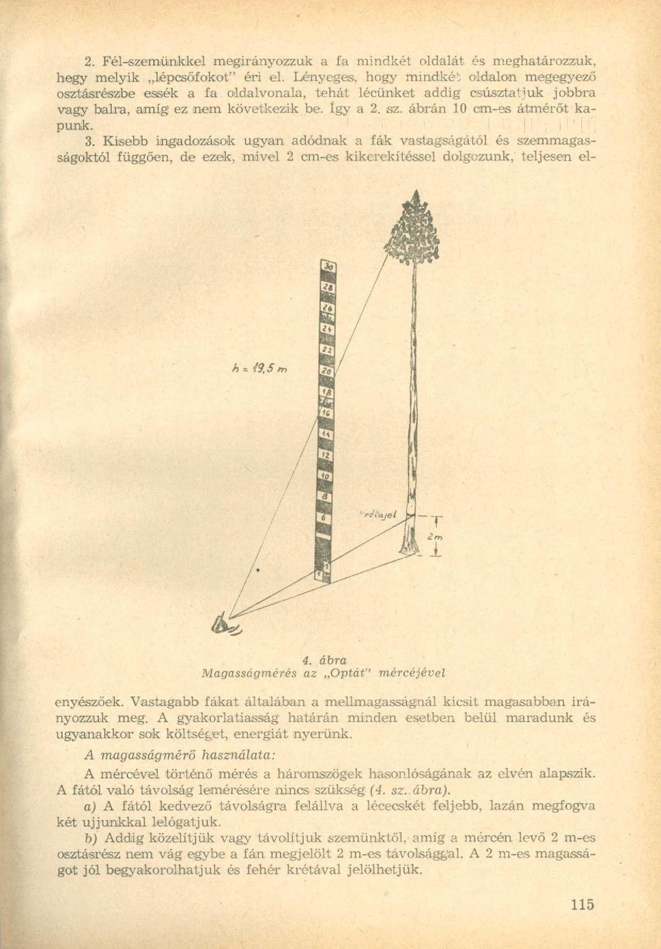 3. Kisebb ingadozások ugyan adódnak a fák vastagságától és szemmagasságoktól függően, de ezek, mivel 2 cm-es kikerekítessél dolgozunk, teljesen el- 4.