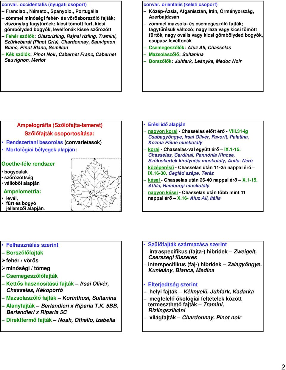 Szürkebarát (Pinot Gris), Chardonnay, Sauvignon Blanc, Pinot Blanc, Semillon Kék szőlők: Pinot Noir, Cabernet Franc, Cabernet Sauvignon, Merlot convar.