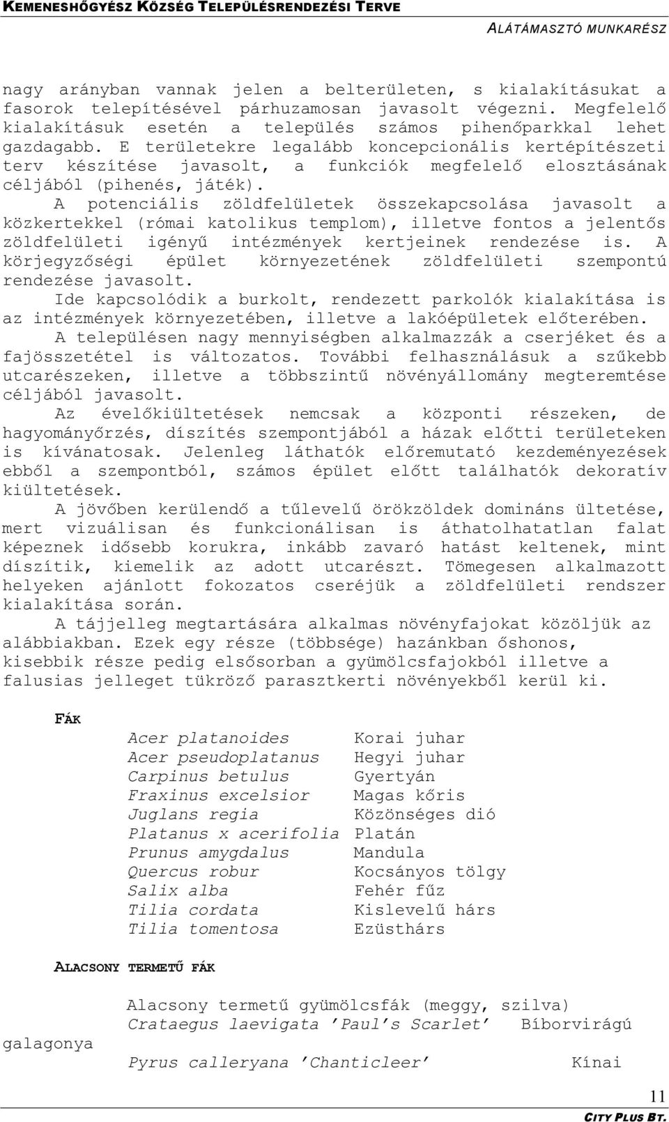 A potenciális zöldfelületek összekapcsolása javasolt a közkertekkel (római katolikus templom), illetve fontos a jelentős zöldfelületi igényű intézmények kertjeinek rendezése is.