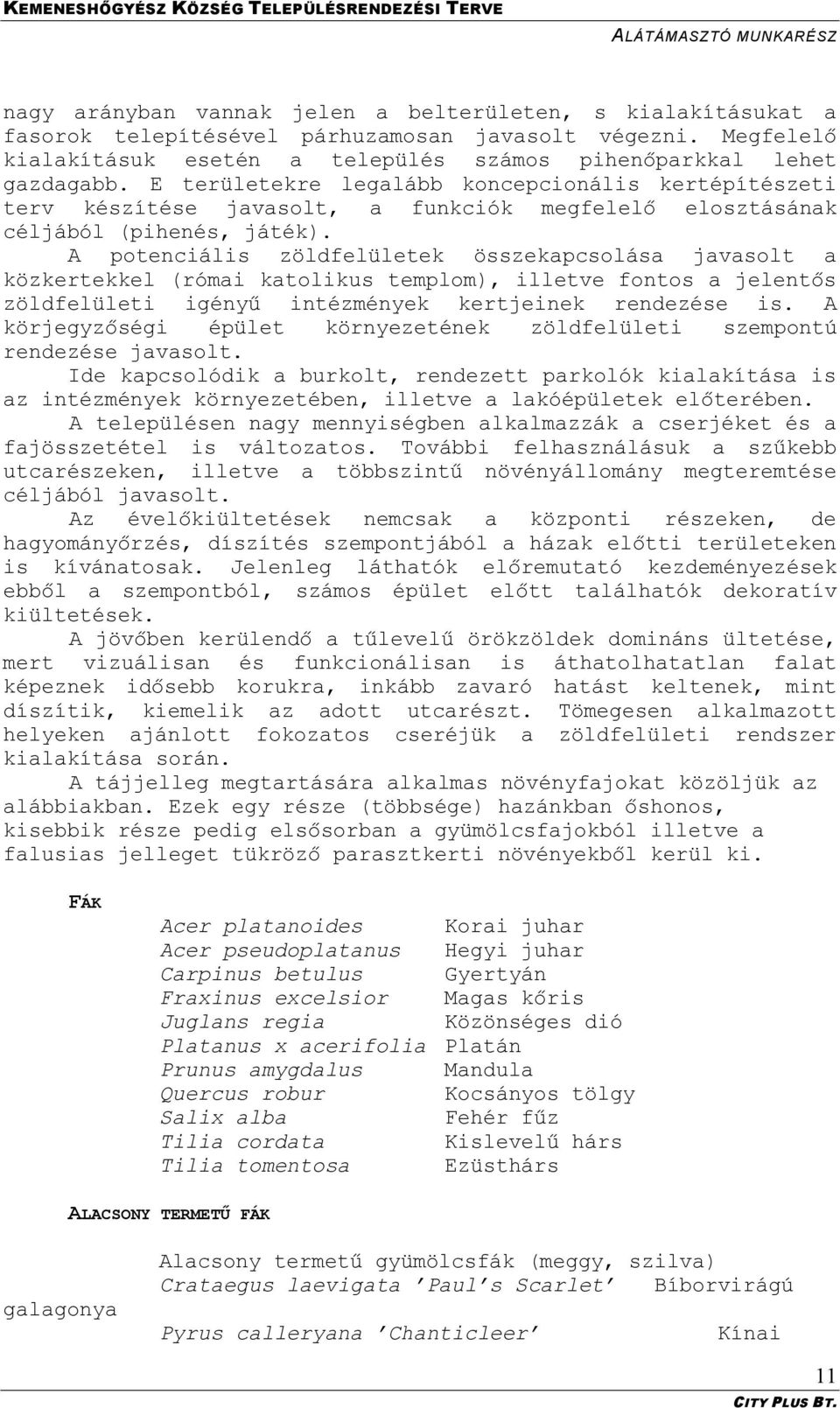 A potenciális zöldfelületek összekapcsolása javasolt a közkertekkel (római katolikus templom), illetve fontos a jelentős zöldfelületi igényű intézmények kertjeinek rendezése is.