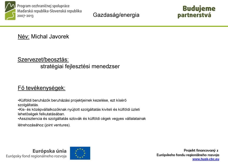 Kis- és középvállalkozóknak nyújtott szolgáltatás kiviteli és külföldi üzleti lehetőségek