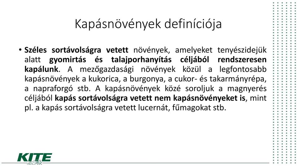 A mezőgazdasági növények közül a legfontosabb kapásnövények a kukorica, a burgonya, a cukor- és takarmányrépa, a