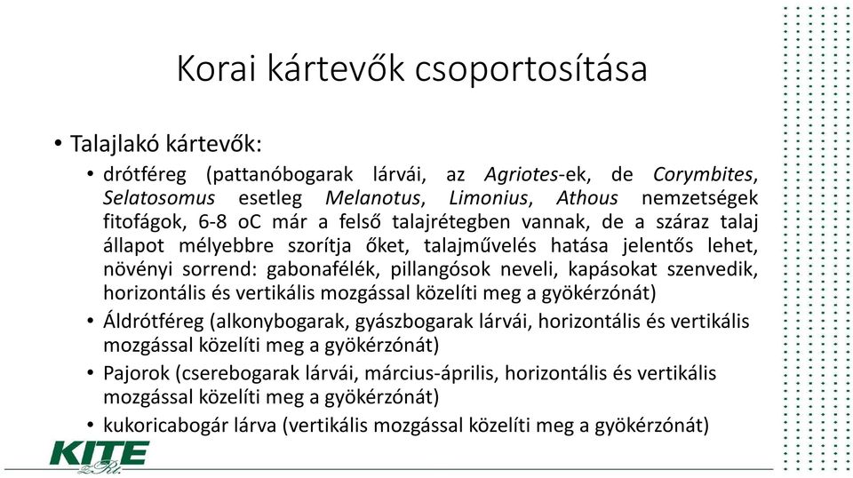 kapásokat szenvedik, horizontális és vertikális mozgással közelíti meg a gyökérzónát) Áldrótféreg (alkonybogarak, gyászbogarak lárvái, horizontális és vertikális mozgással közelíti meg a