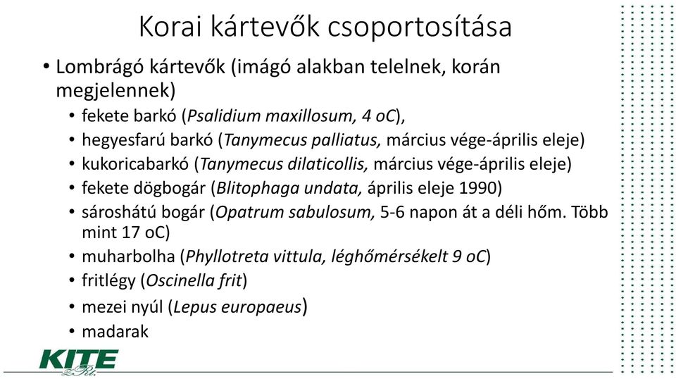 vége-április eleje) fekete dögbogár (Blitophaga undata, április eleje 1990) sároshátúbogár (Opatrumsabulosum, 5-6 napon át a
