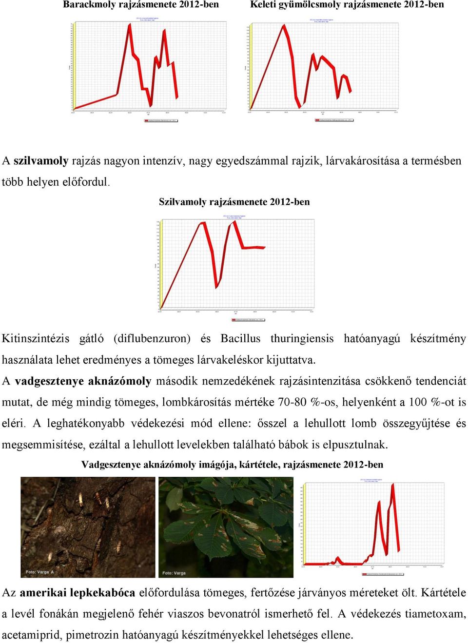 A vadgesztenye aknázómoly második nemzedékének rajzásintenzitása csökkenő tendenciát mutat, de még mindig tömeges, lombkárosítás mértéke 70-80 %-os, helyenként a 100 %-ot is eléri.