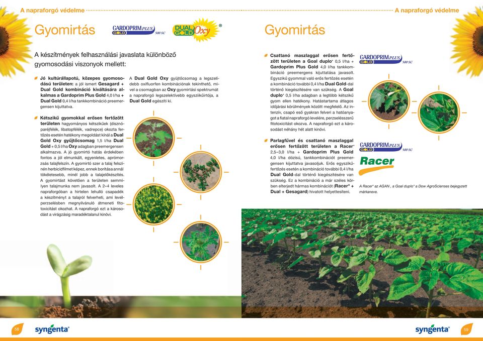 Kétszikű gyomokkal erősen fertőzött területen hagyományos kétszikűek (disznóparéjfélék, libatopfélék, vadrepce) okozta fertőzés esetén hatékony megoldást kínál a Dual Gold Oxy gyűjtőcsomag 1,5 l/ha