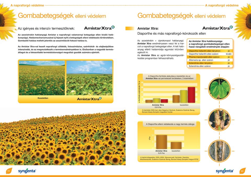 Az Amistar Xtra-val kezelt napraforgó zöldebb, fotoszintézise, szénhidrát- és olajbeépülése intenzívebb, és ez megmutatkozik a terméseredményekben is.