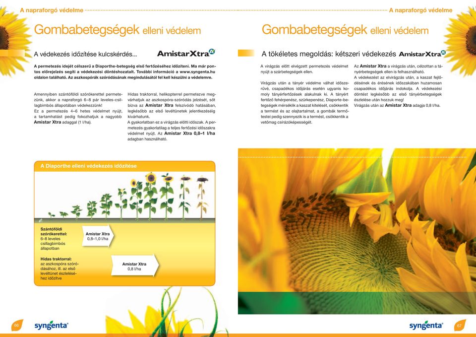 Amennyiben szántóföldi szórókerettel permetezünk, akkor a napraforgó 6 8 pár leveles-csillagbimbós állapotában védekezzünk!