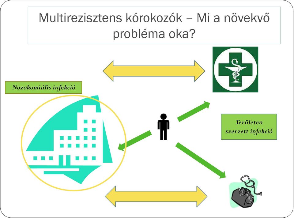 Nozokomiális infekció