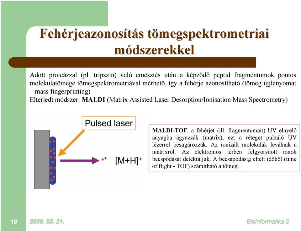 fingerprinting) Elterjedt módszer: MALDI (Matrix Assisted Laser Desorption/Ionisation Mass Spectrometry) MALDI-TOF: a fehérjét (ill.