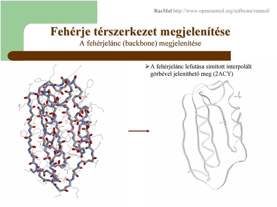 org/software/rasmol/ A fehérjelánc lefutása simított