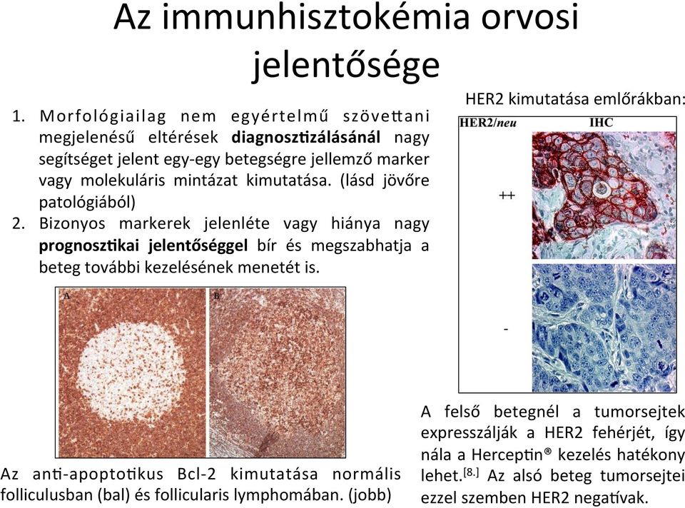 kimutatása. (lásd jövőre patológiából) 2.