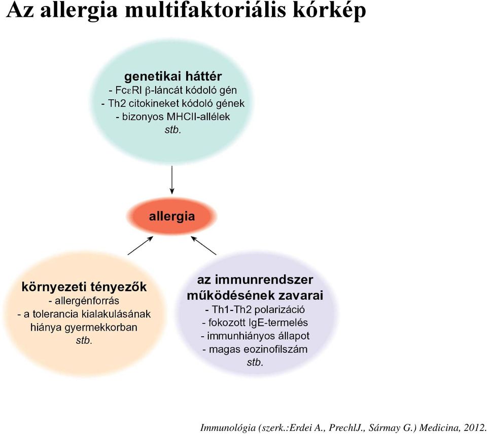 Immunológia (szerk.