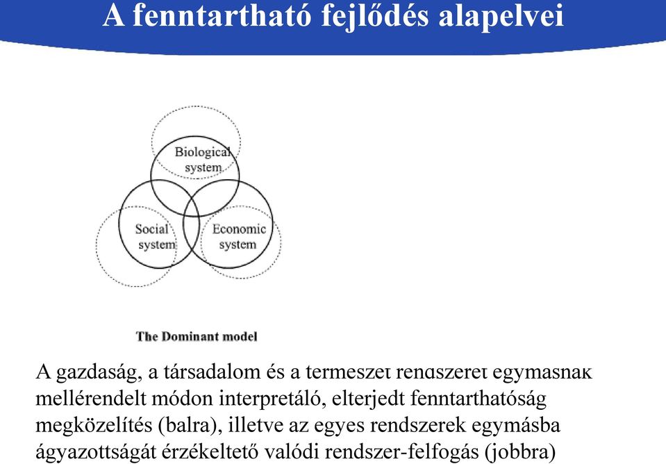 elterjedt fenntarthatóság megközelítés (balra), illetve az egyes