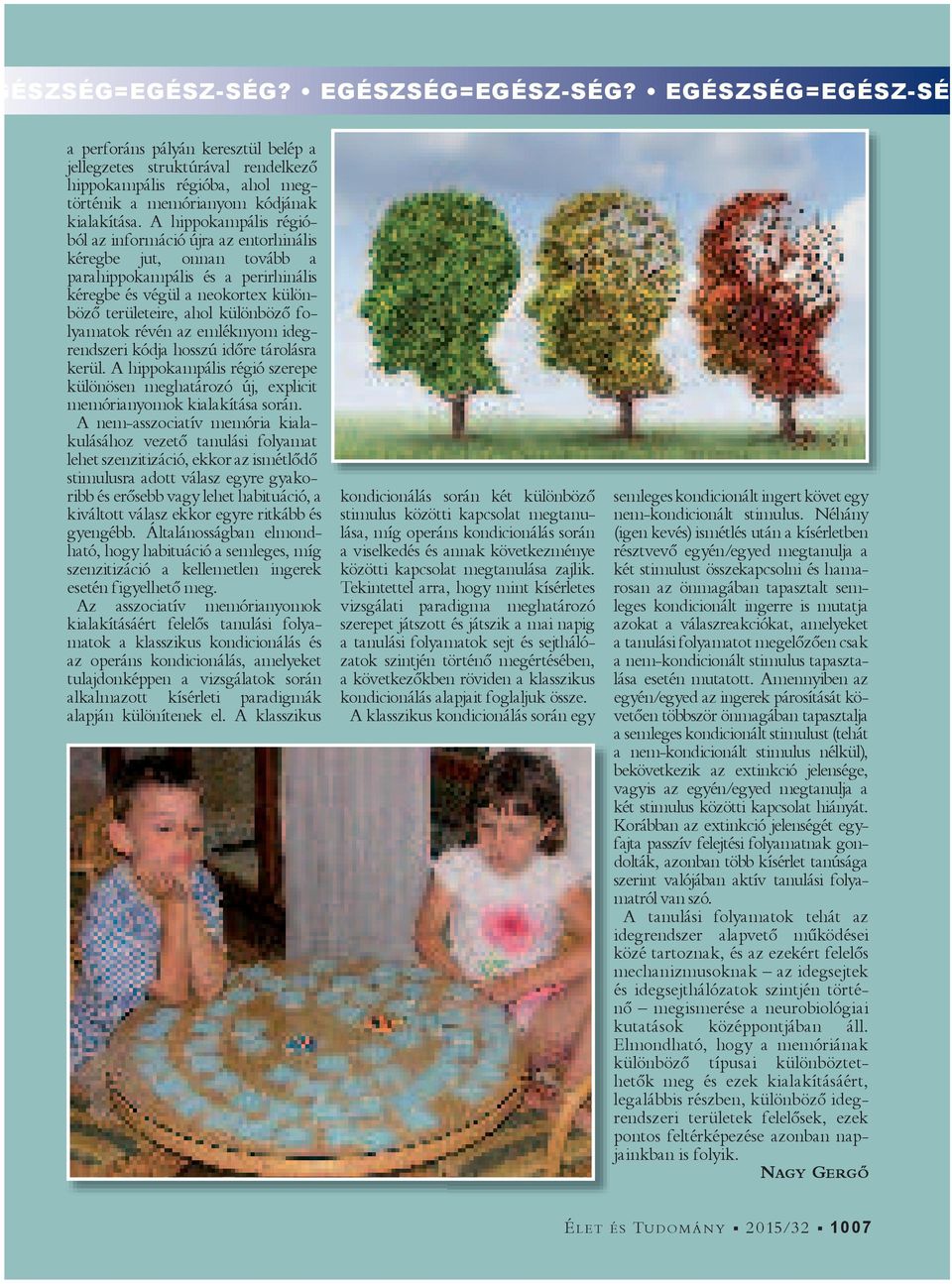 A hippokampális régióból az információ újra az entorhinális kéregbe jut, onnan tovább a parahippokampális és a perirhinális kéregbe és végül a neokortex különböző területeire, ahol különböző